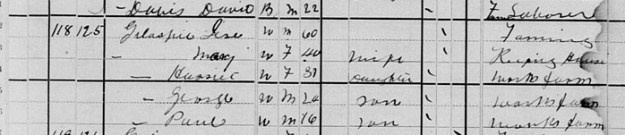 1880-us-census