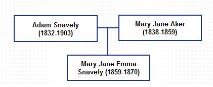 family graph01